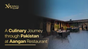 A Culinary Journey through Pakistan at Aangan Restaurant